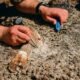 Alberta boy dinosaur fossil discovery Horseshoe Canyon