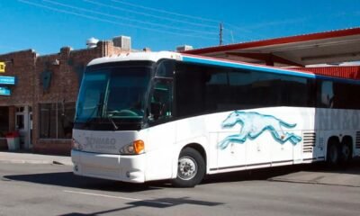 Grand Valley Transit bus Grand Junction
