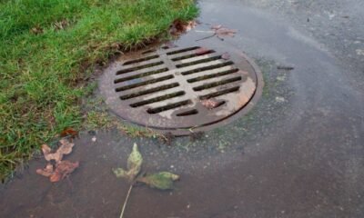 Mesa County stormwater runoff sampling pollution