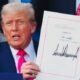 US Japan South Korea trade tariffs 2025