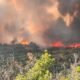 colorado montrose delta mesa wildfires evacuation