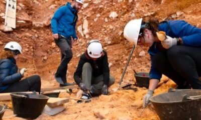 gran dolina homo antecessor cannibalism toddler bones cave excavation atapuerca spain