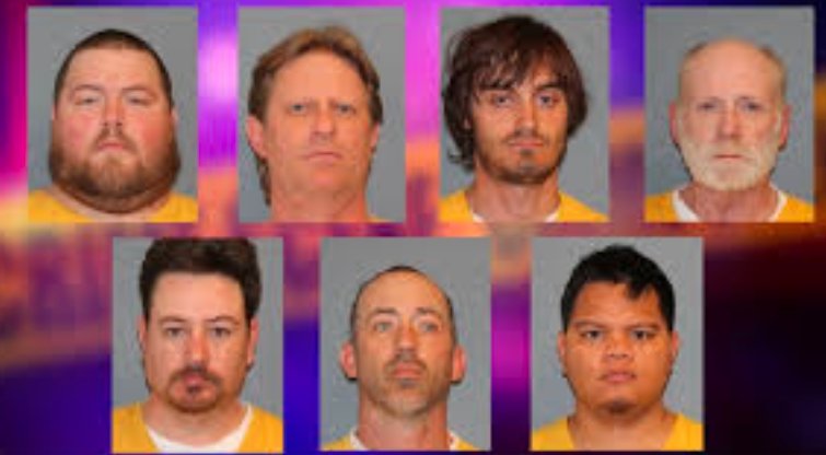 grand junction courthouse internet predator arrest 2025