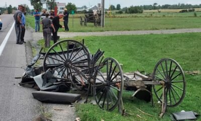 horse drawn buggy crash adams county indiana rural road
