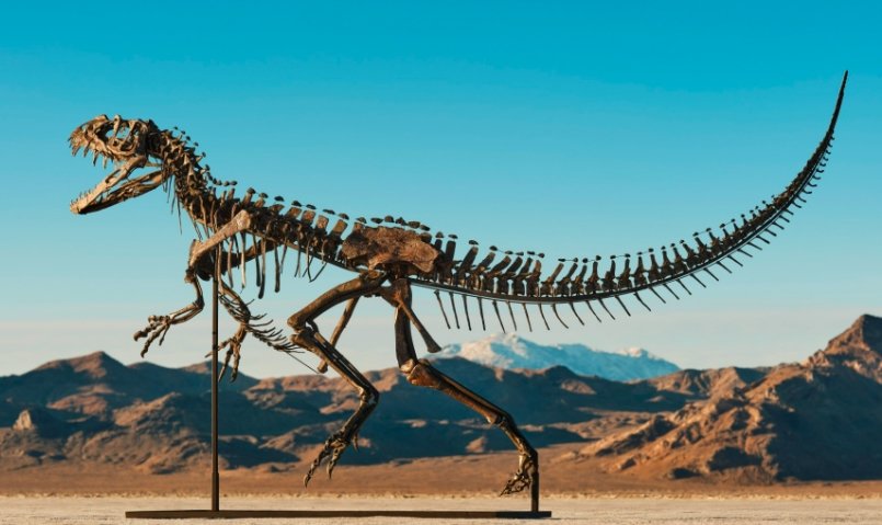 juvenile ceratosaurus skeleton sothebys auction 2025