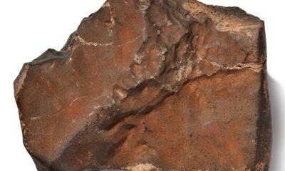 largest martian meteorite Sotheby’s auction