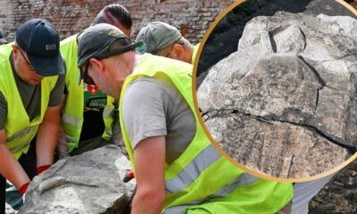 medieval knight tombstone excavation Gdańsk Poland