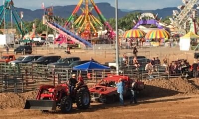 mesa county fair 2025 grand junction rodeo livestock carnival