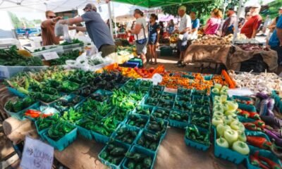 palisade farmers market plant swap