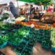 palisade farmers market plant swap