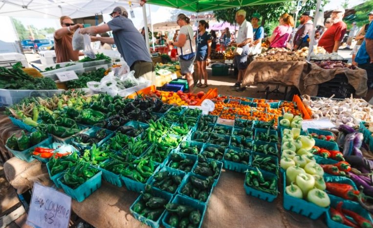palisade farmers market plant swap