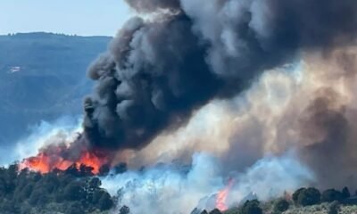 turner gulch fire mesa county colorado wildfire 2025