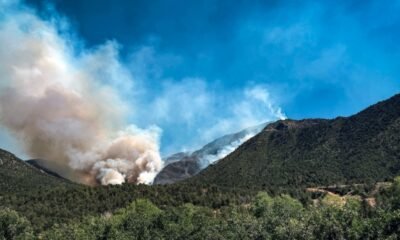 turner gulch wildfire colorado mesa county july 2025