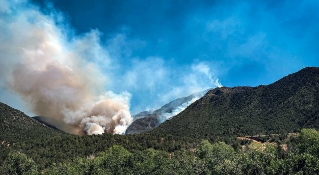 turner gulch wildfire colorado mesa county july 2025