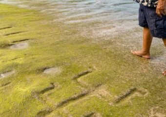 waianae oahu hawaiian petroglyphs beach carvings