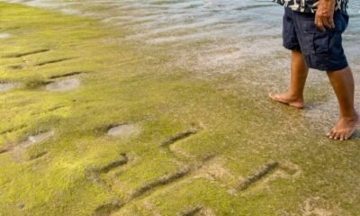 waianae oahu hawaiian petroglyphs beach carvings