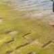 waianae oahu hawaiian petroglyphs beach carvings
