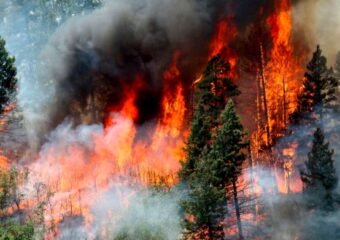 western colorado wildfire smoke flames forest service road