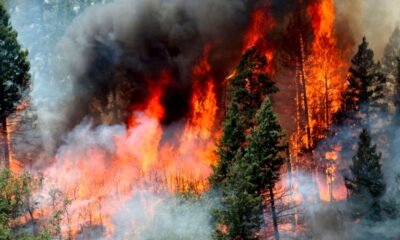 western colorado wildfire smoke flames forest service road