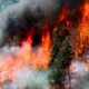 western colorado wildfire smoke flames forest service road