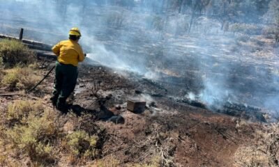 Enoch Fire Glade Park 2025, Mesa County Wildland Fire Team,