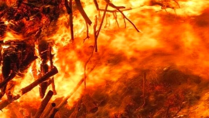 Oak Fire Pagosa Springs Colorado wildfire