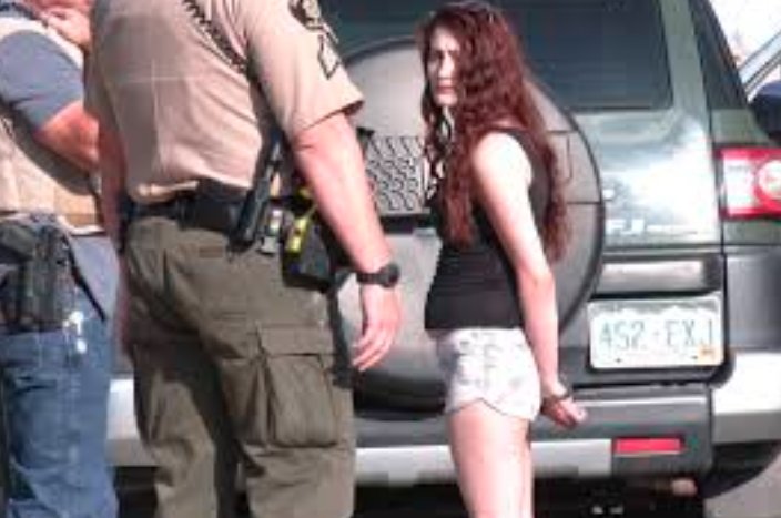 Western Slope Colorado vehicle theft arrest