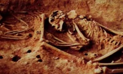 ancient skeleton discovery