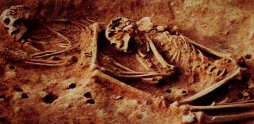 ancient skeleton discovery
