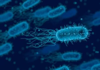 bacteria in coastal water