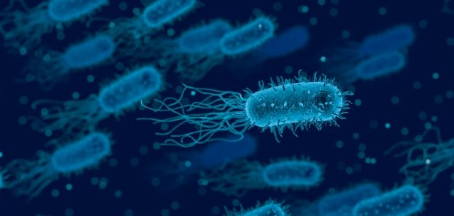 bacteria in coastal water