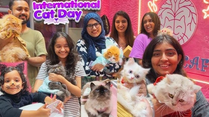 cat cafe celebration