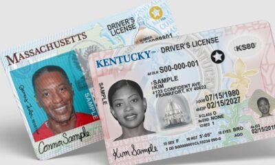 drivers license