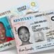 drivers license