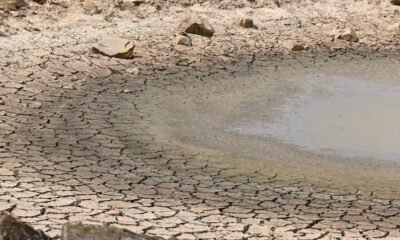drought landscape