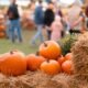 fall festival farm
