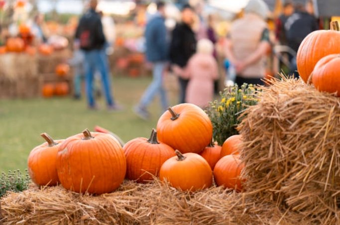 fall festival farm