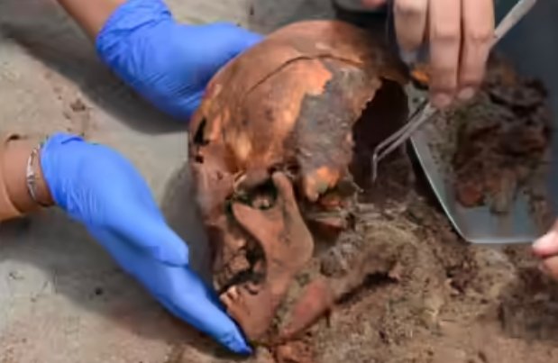 human remains investigation