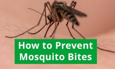 mosquito bite prevention