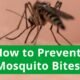 mosquito bite prevention