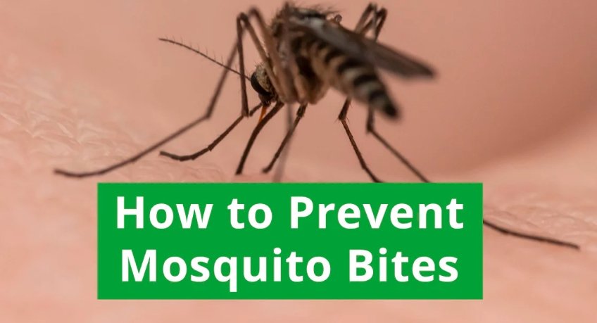 mosquito bite prevention