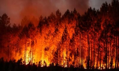 wildfire at night