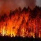 wildfire at night