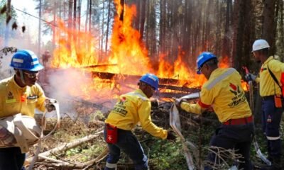 wildfire firefighters