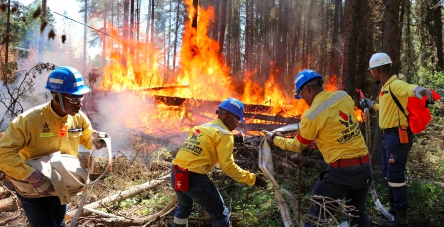 wildfire firefighters