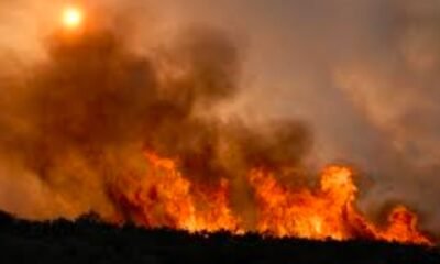 wildfire smoke