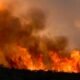 wildfire smoke
