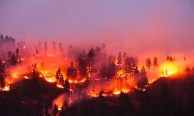 wildfire smoke