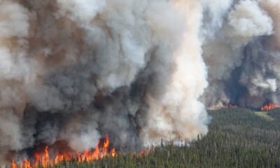 wildfire smoke