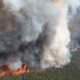 wildfire smoke